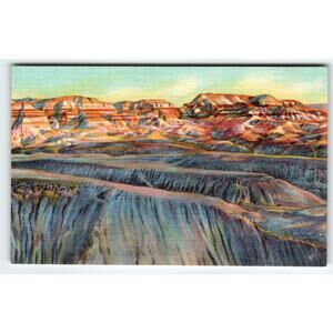 Evening Shadows Painted Blue Forest Desert Grand Canyon Arizona Linen Postcard